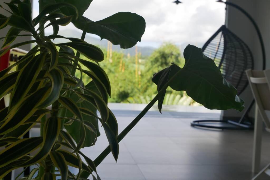 Villa Kumquat Avec Piscine Et Vue Sur Les Montagnes Petit-Bourg Kültér fotó