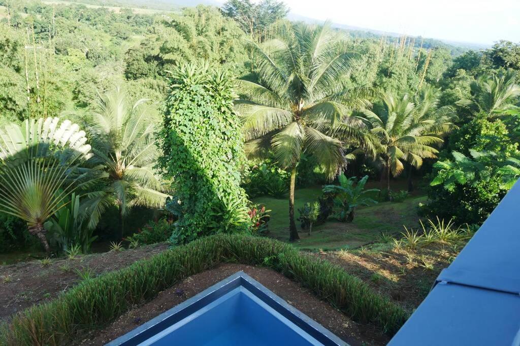 Villa Kumquat Avec Piscine Et Vue Sur Les Montagnes Petit-Bourg Kültér fotó